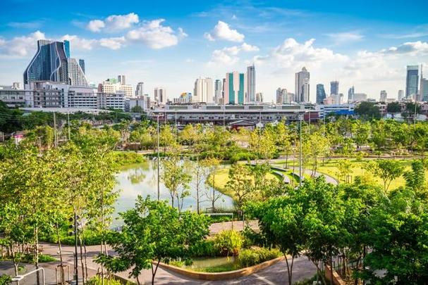 大运公园：城市绿肺中的多元活力空间