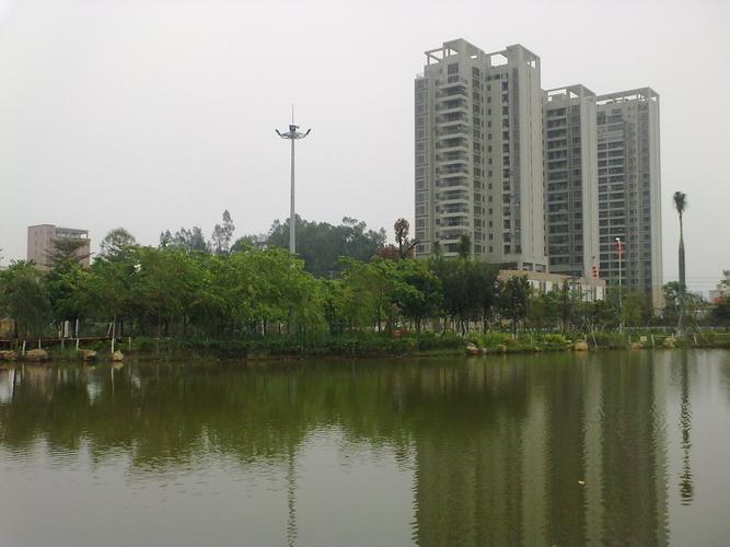 深圳松岗公园：都市绿洲，休闲胜地