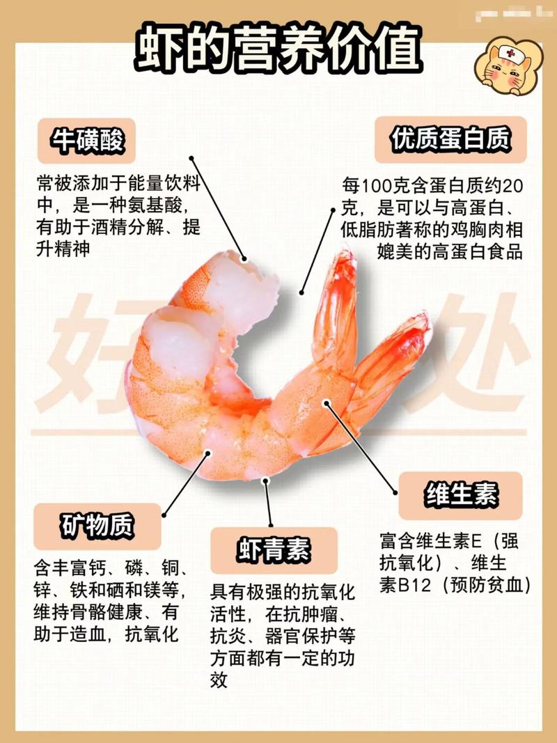 虾肉的营养与烹饪艺术