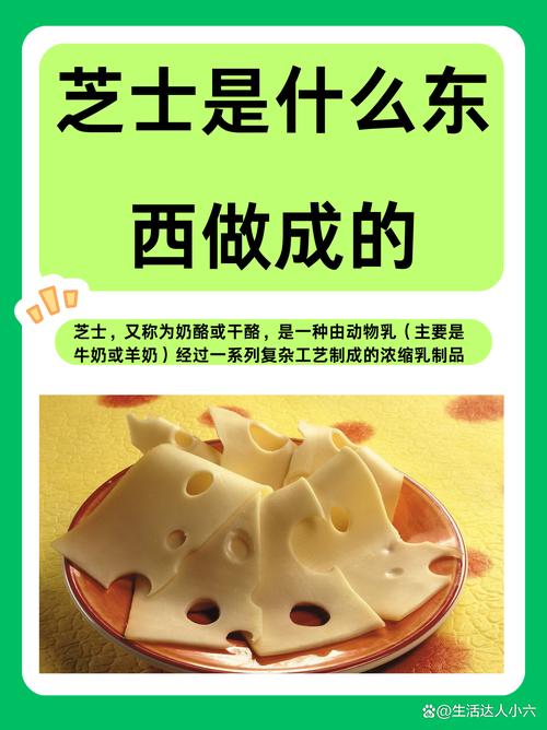 奶酪的奇妙世界：历史、制作与多样魅力