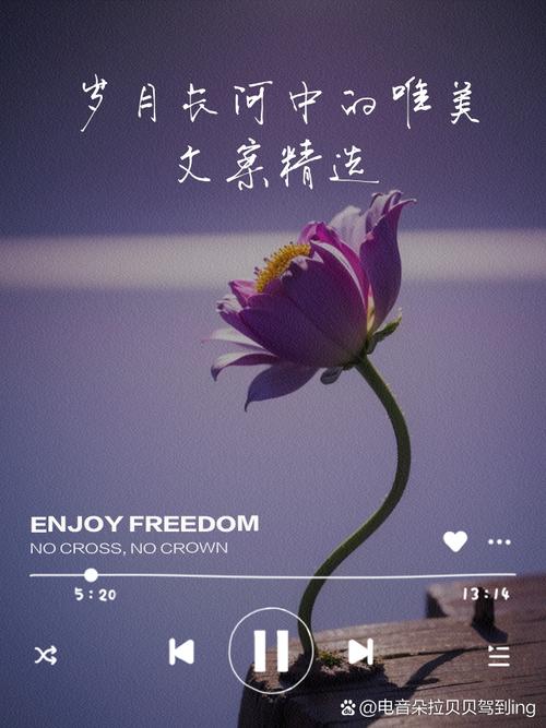 岁月长河中的温情涟漪