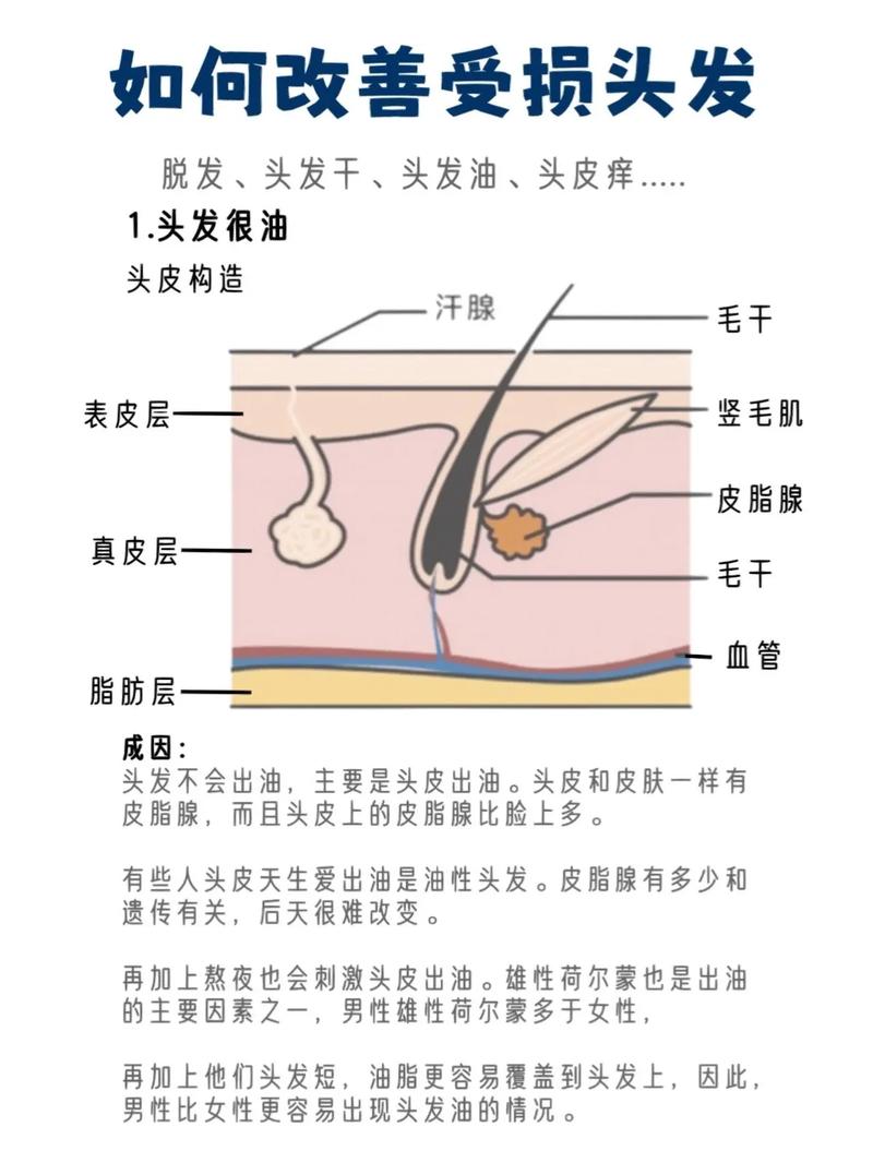 头发断裂预防措施全攻略