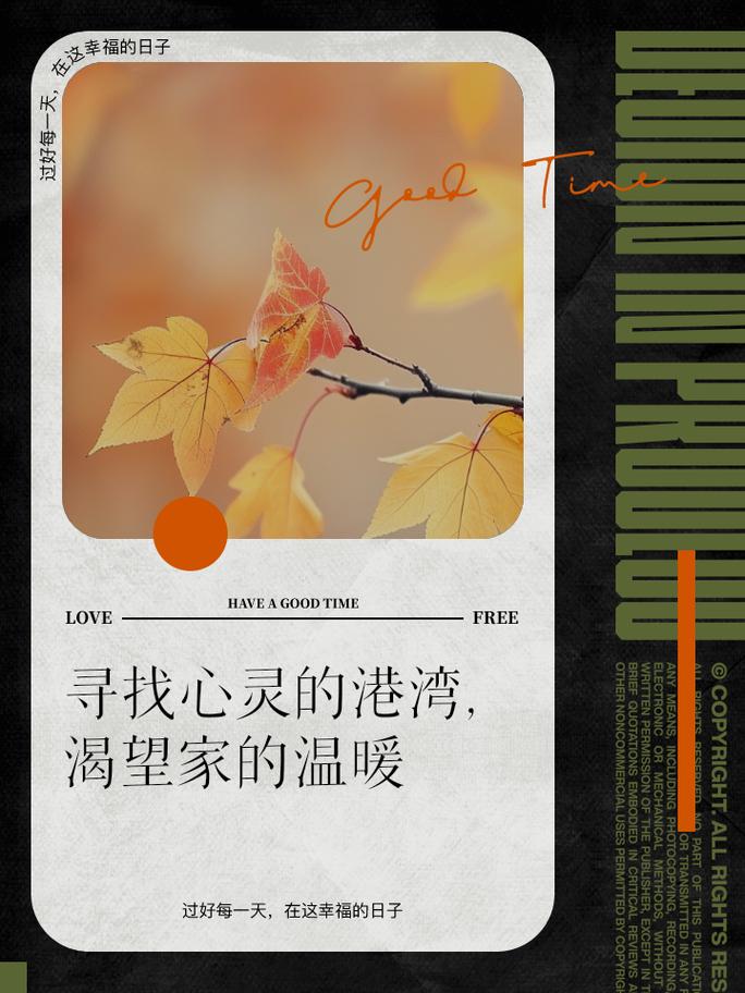 归属感：心灵的港湾与精神的家园