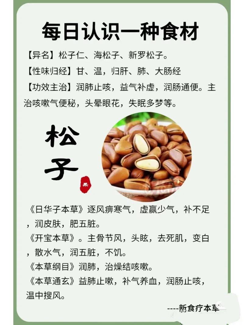 详细阅读:松子:自然馈赠的美味宝藏与文化符号 松子:自然馈赠的美味宝藏与文化符号