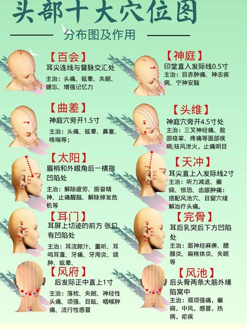 头皮按摩的手法与频率：全面指南