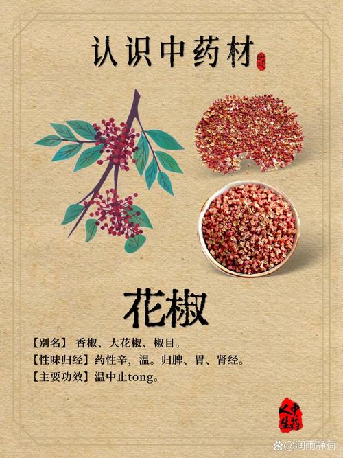 花椒的奥秘与魅力
