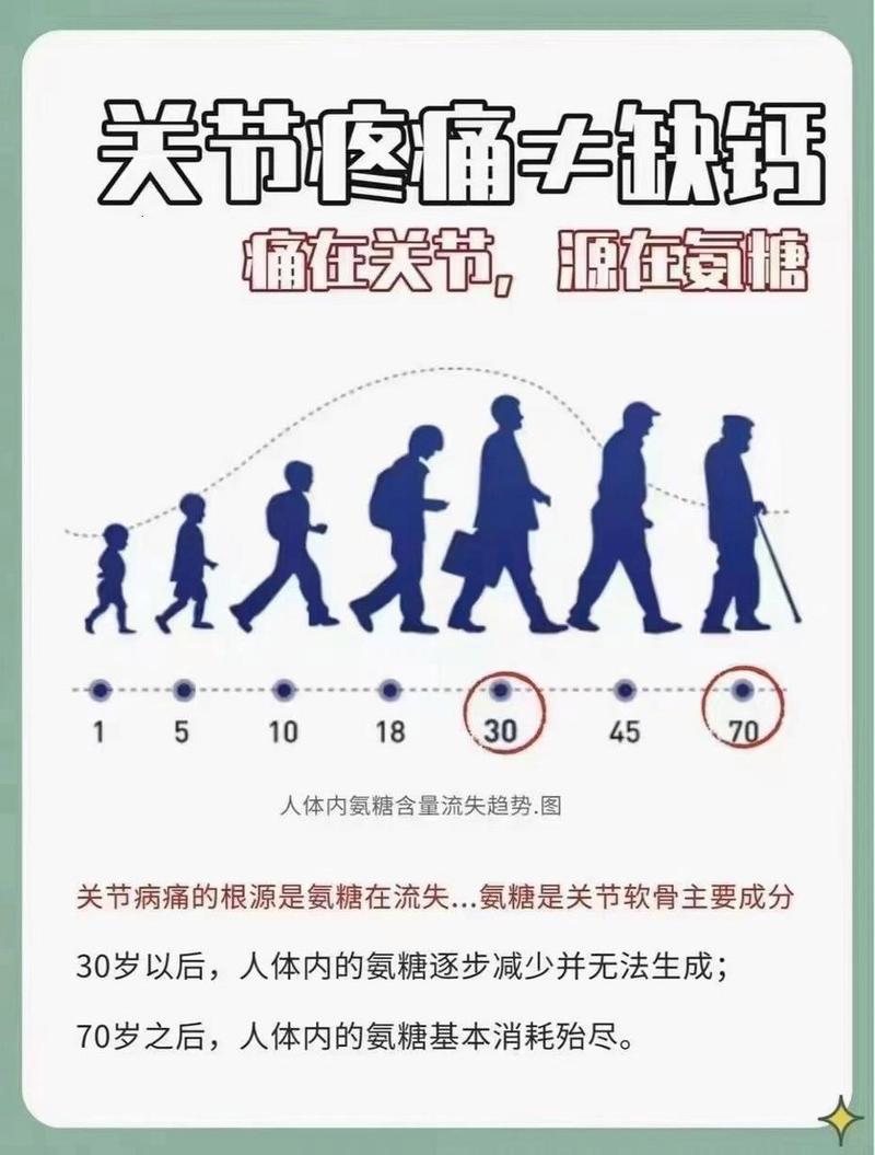 运动与骨骼健康的关系