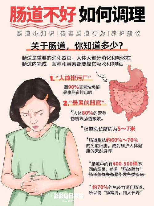 运动与消化系统健康：探索两者之间的紧密联系