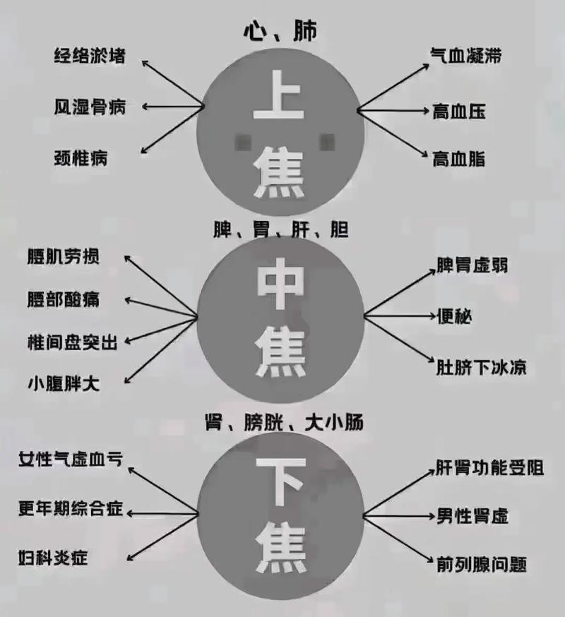 运动与情绪管理的关系