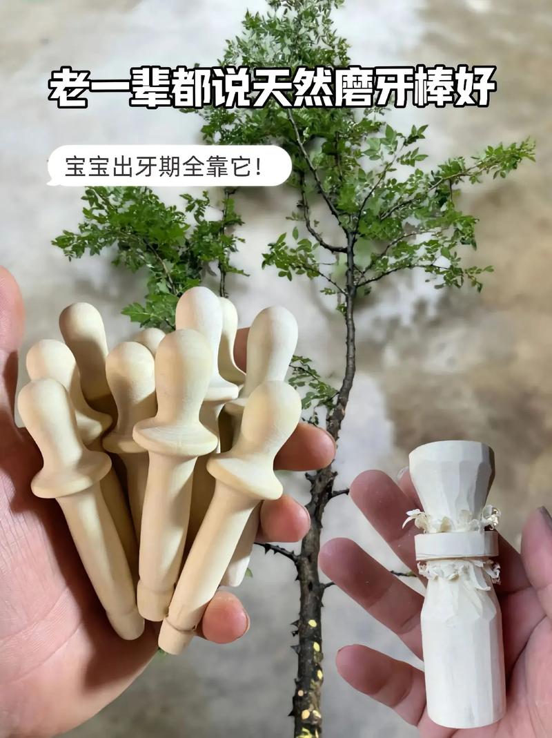 宝宝磨牙好帮手：儿童磨牙棒全解析