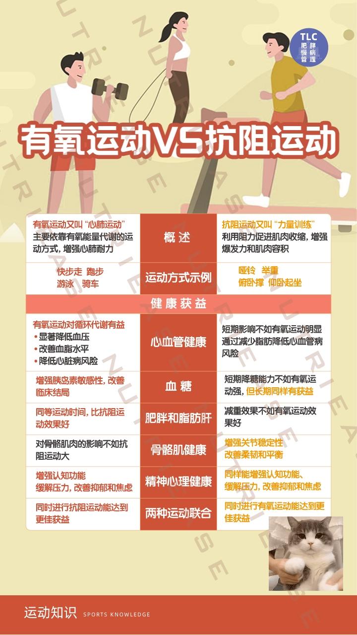 运动与身体爆发力的关系