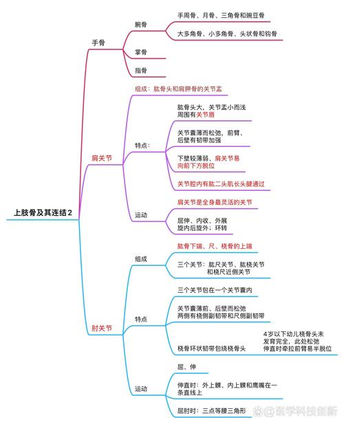运动与身体敏捷性的关联性探究