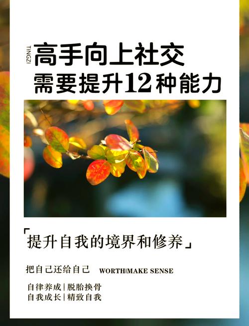 运动：社交能力提升的“催化剂”