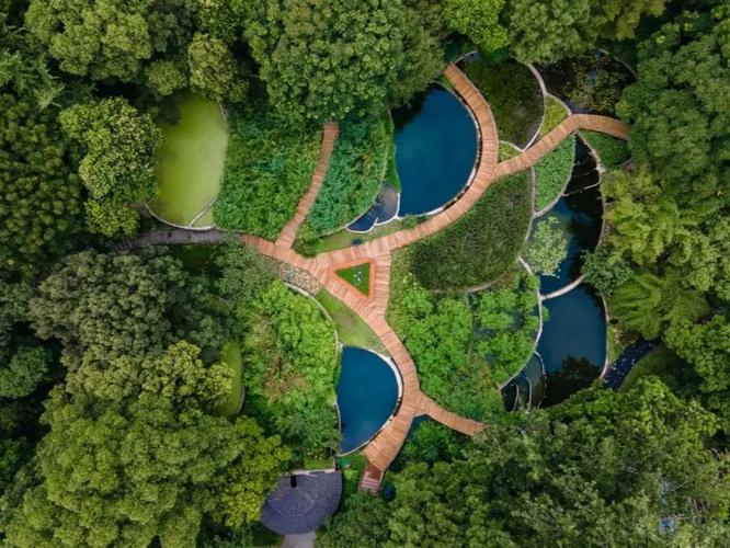 活水公园：城市中的生态明珠与活力源泉