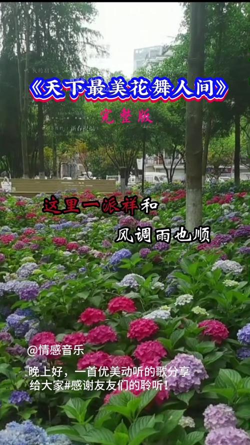 花舞人间：绚烂生命之歌