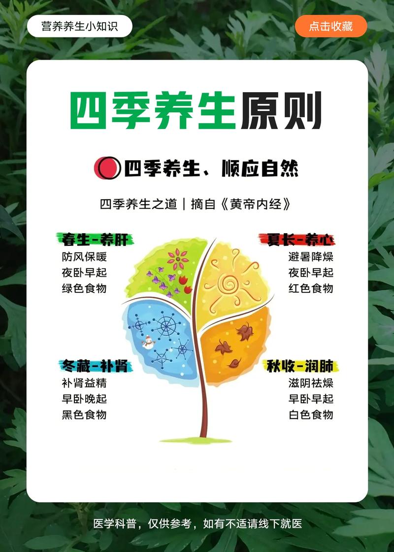 四季养生之道：顺应自然，呵护身心