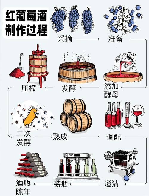 葡萄汁：从历史到现代的甘甜旅程