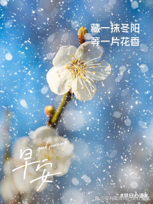 爱情的四季：从春暖花开到冬日暖阳