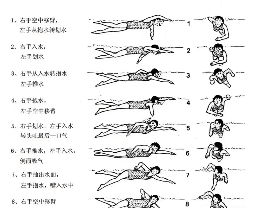 自由泳的艺术与技巧