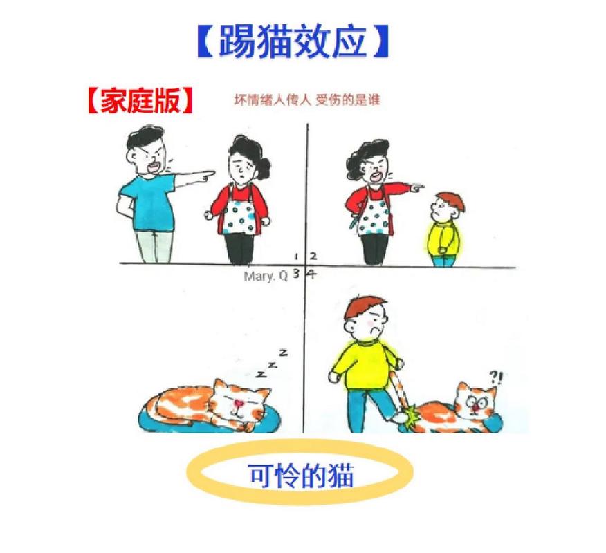 踢被现象的解析与应对策略