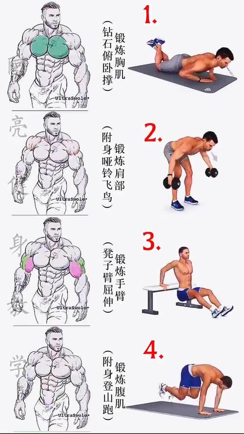 力量训练：提升肌肉力量的科学方法