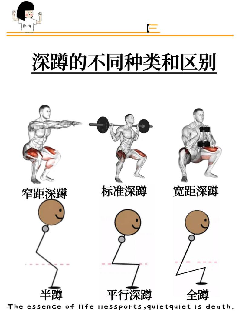 详细阅读:深蹲:探索这一高效健身动作的奥秘与实践 深蹲:探索这一高效健身动作的奥秘与实践