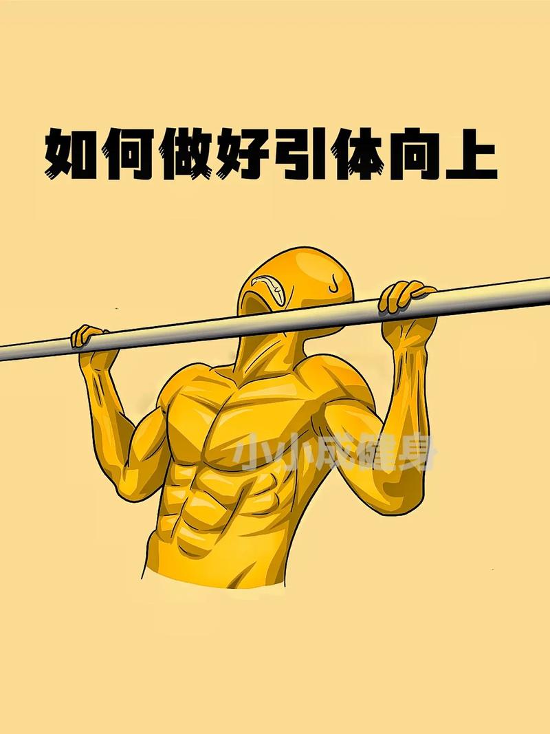 引体向上：锻炼的艺术与科学的完美结合