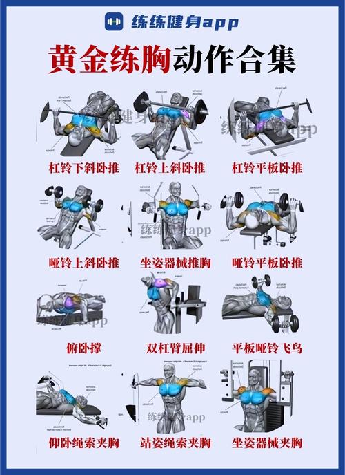 肌酸：运动健身的黄金辅助