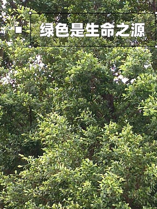 水能：大自然馈赠的绿色动力源泉