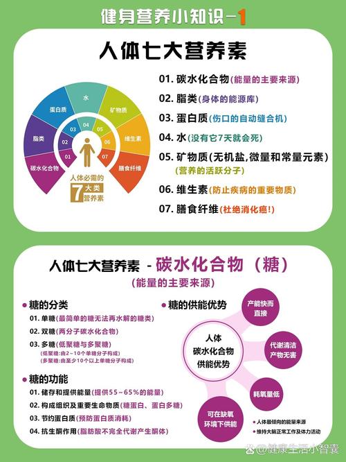 碳水化合物：人体能量的重要来源与复杂角色