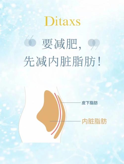 脂肪：人体健康的“双面娇娃”