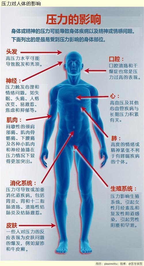 压力对皮肤的影响机制：揭示身心与肌肤的微妙关联