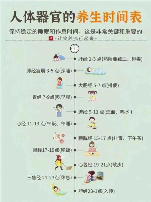 生物钟与美容的奇妙联系