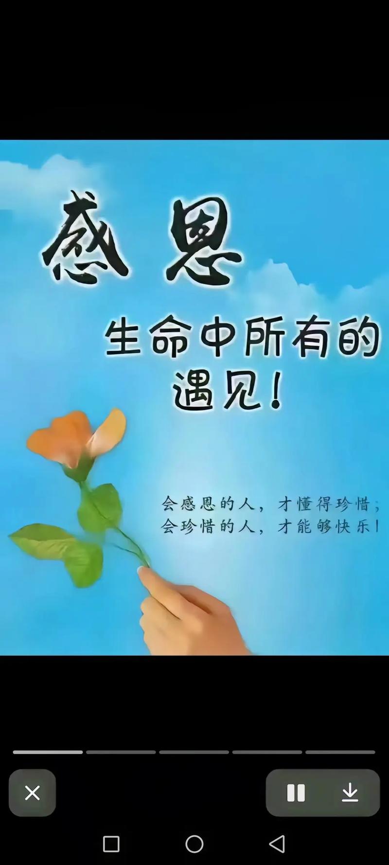 心怀感恩，温暖前行