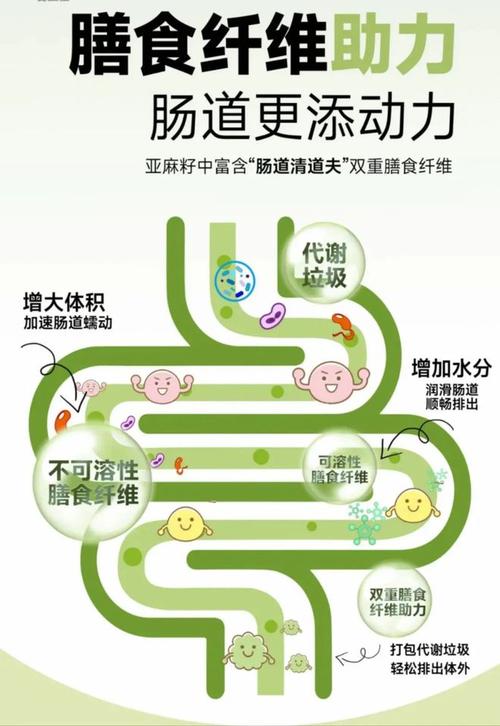 膳食纤维：肠道的“清道夫”与健康的“活力源泉”