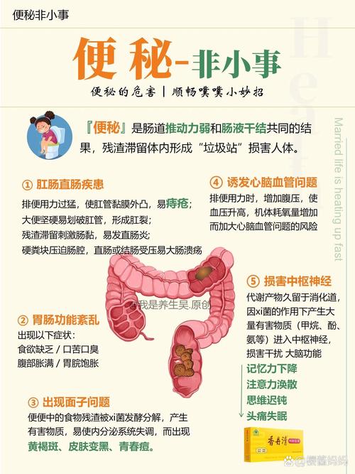 便秘：成因、危害与应对策略全解析