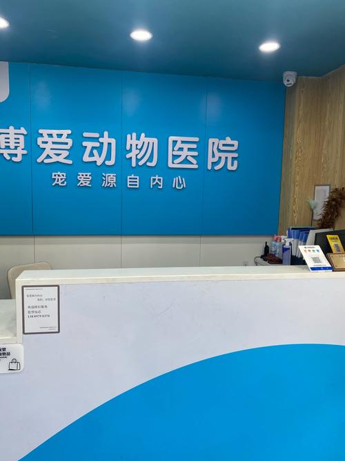 宠物医疗精选：探寻值得信赖的宠物医院