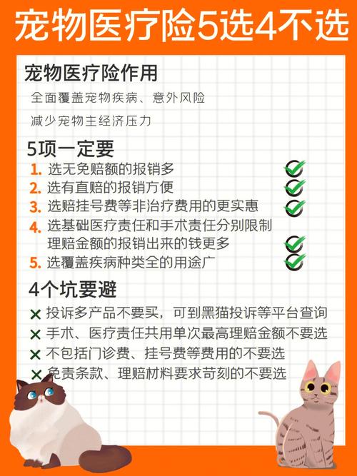 宠物保险选购全攻略：为您的爱宠保驾护航