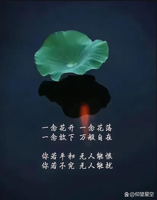 情丝万缕，心海幽澜