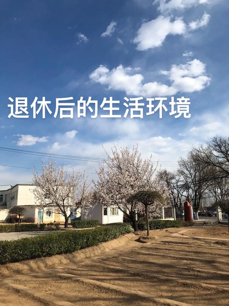 详细阅读:退休生活规划:拥抱美好夕阳时光 退休生活规划:拥抱美好夕阳时光
