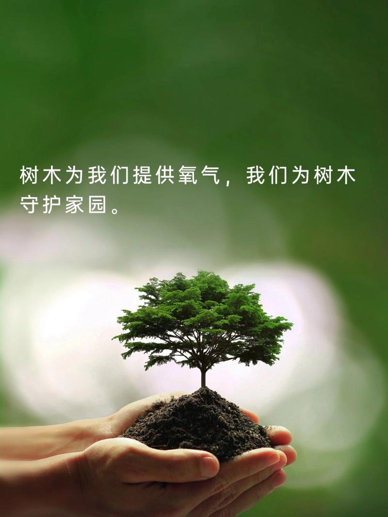 绿色植物：大自然的馈赠与生命的守护者