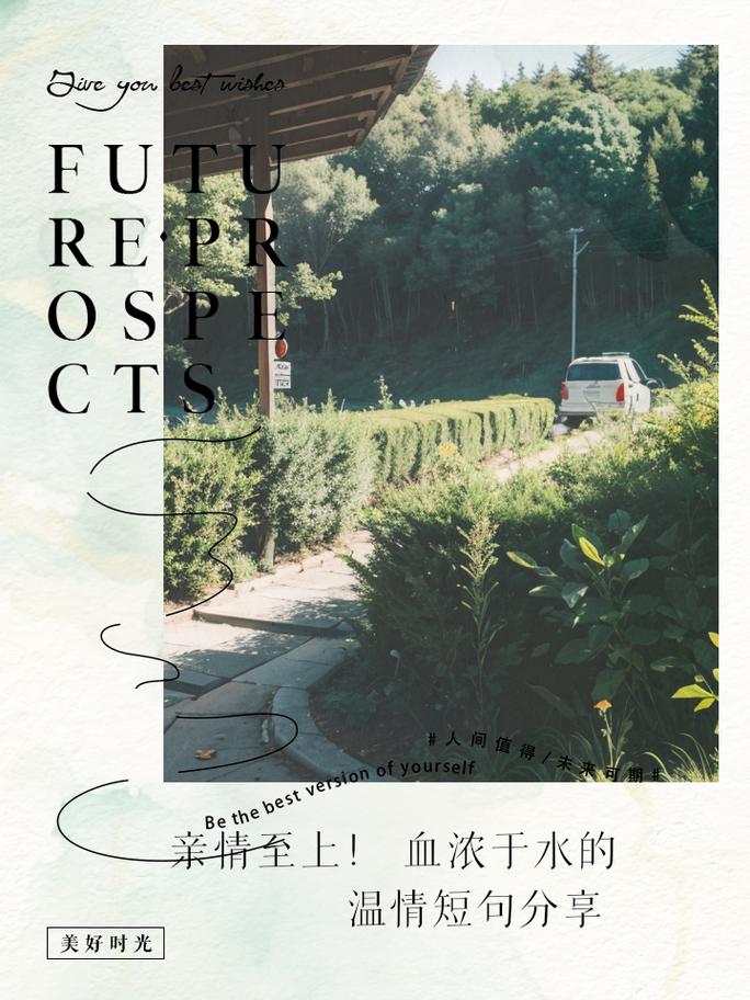 亲情的港湾：岁月长河中的温暖灯塔