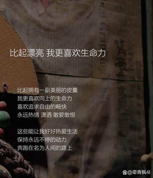 精力充沛：开启活力满格的人生之旅