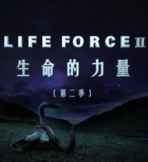 活力：生命跃动的奇妙力量
