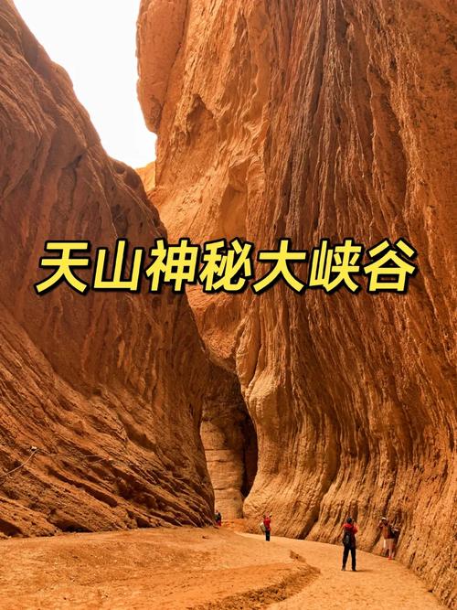 峡谷探秘：一场与自然共舞的冒险之旅