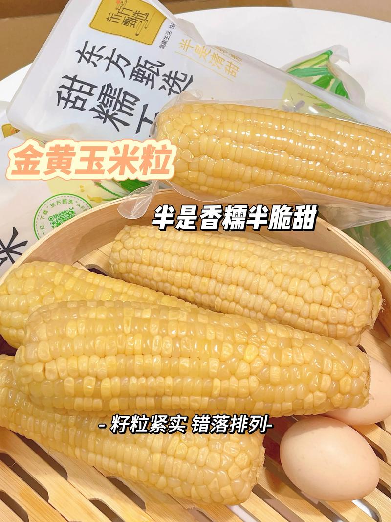 长安糯玉米：从田间到餐桌的甜蜜传奇