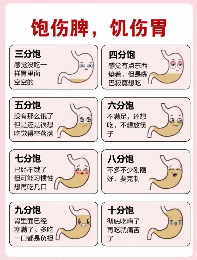 探秘饱腹感：人体奇妙的食欲调控信号