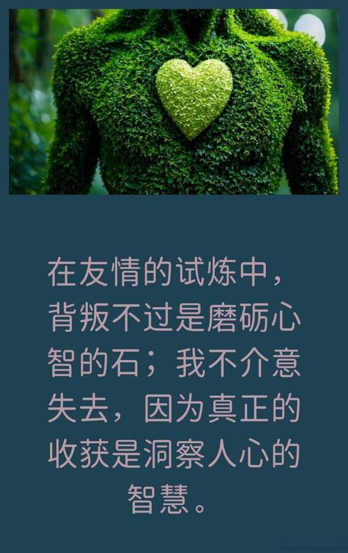 友情的试金石：深度剖析朋友信任度