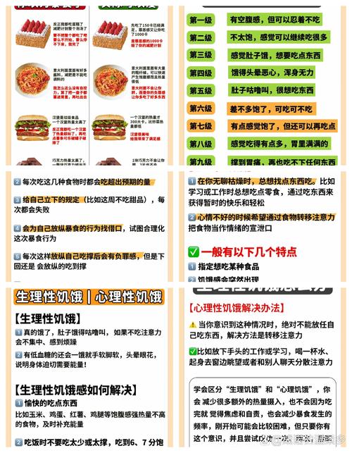 食物饱腹感维持：探索饮食背后的生理与心理奥秘