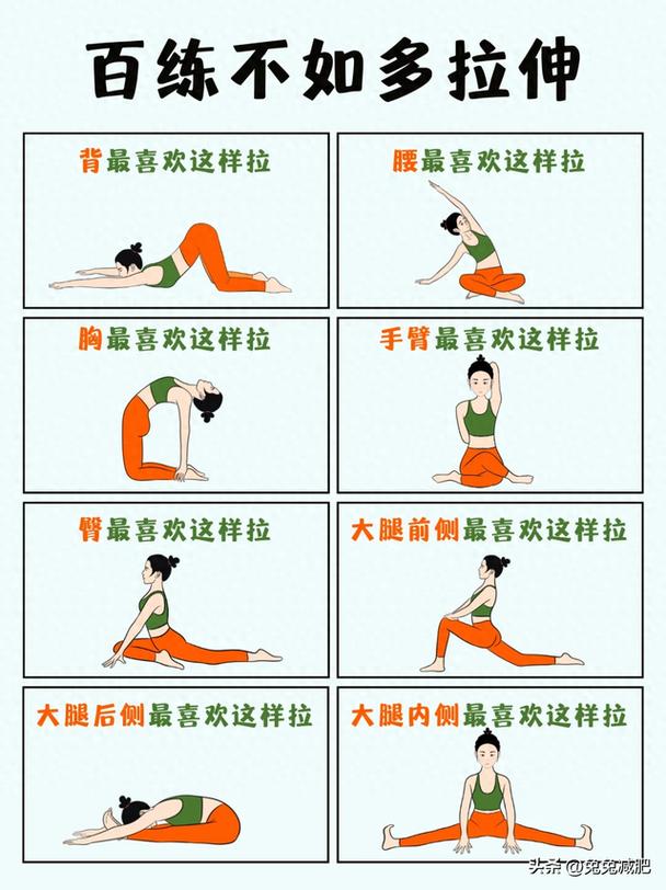 柔韧性训练：解锁身体潜能，提升生活品质